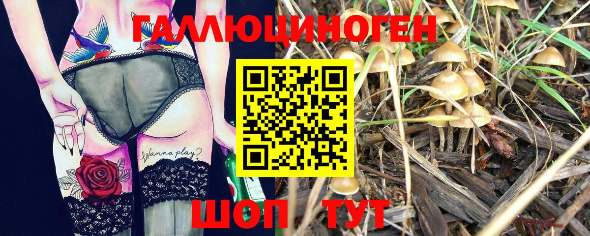 Псилоцибиновые грибы MAGIC MUSHROOMS  Галлюциногенные грибы ЛСД  Вход с VPN  Печора 