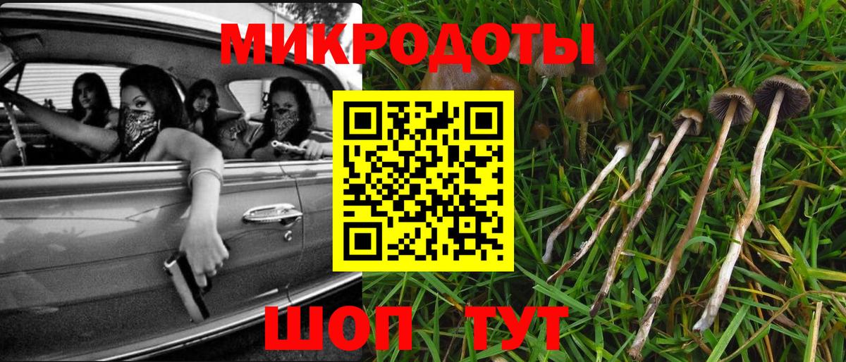 Псилоцибиновые грибы Cubensis Печора